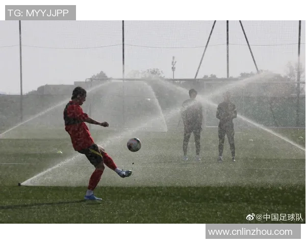 中国足球球星卡全解析与收藏推荐攻略详解